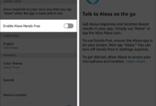 Alexa App Not Working on iPhone | A Simple And Quick Guide
