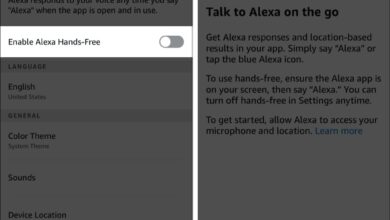 Alexa App Not Working on iPhone | A Simple And Quick Guide