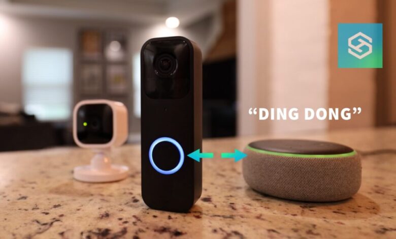 Blink Camera Won't Connect to Alexa