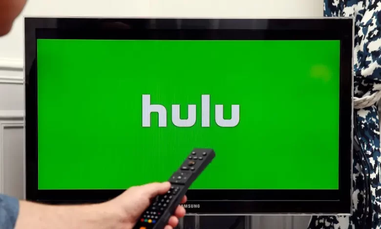 Hulu Error Code p-edu125