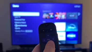 How To Eliminate Roku No Signal Issue Just In A Few Minutes