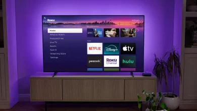 Roku Keeps Freezing Issue