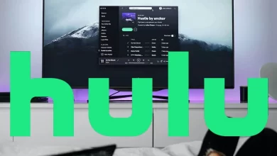 Hulu Error Code P-DEV313
