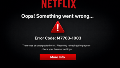 Netflix Error M7703-1003