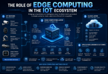 Edge Computing in the IoT ecosystem