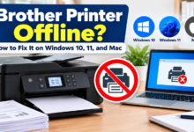 Brother Printer Offline