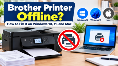 Brother Printer Offline